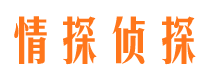 桃山私家侦探